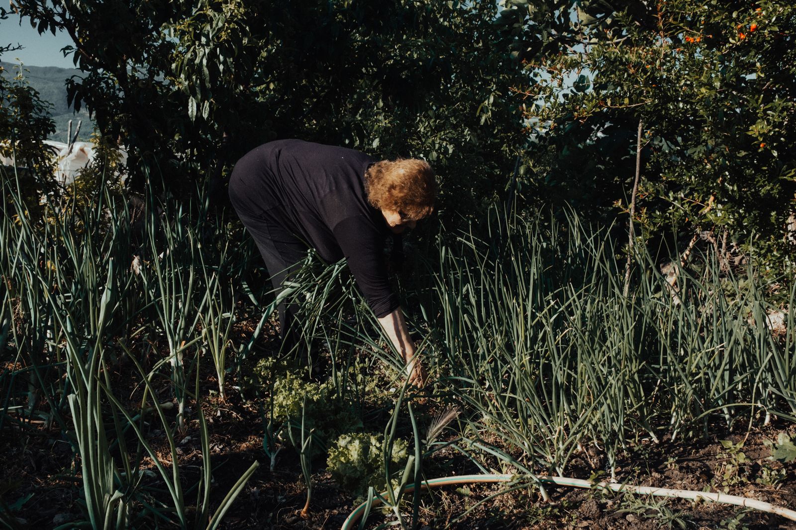 Crew member hand-finishing a freshly planted bed