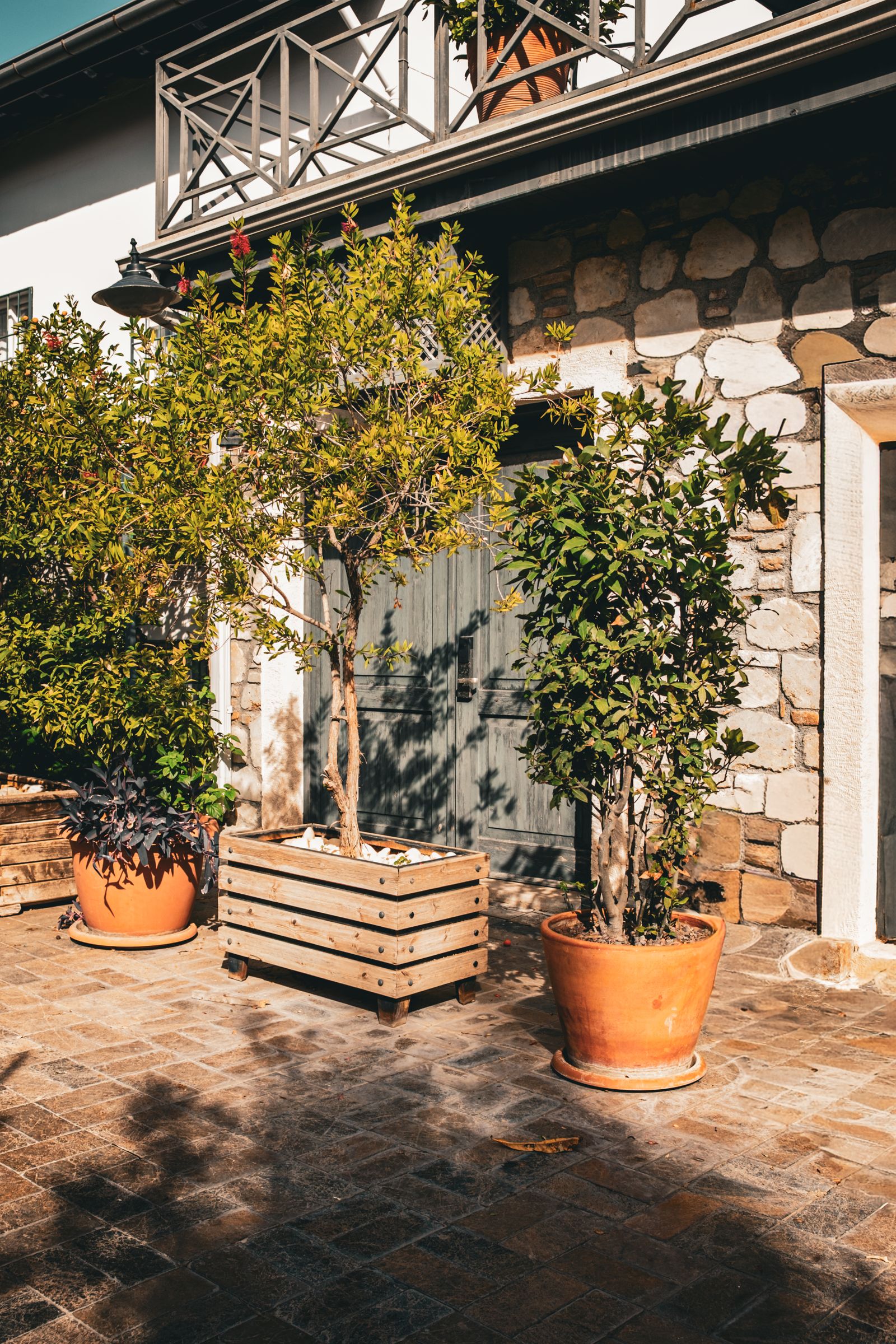 Sunlit entry courtyard with layered plantings, a timber planter box, and stone pavers